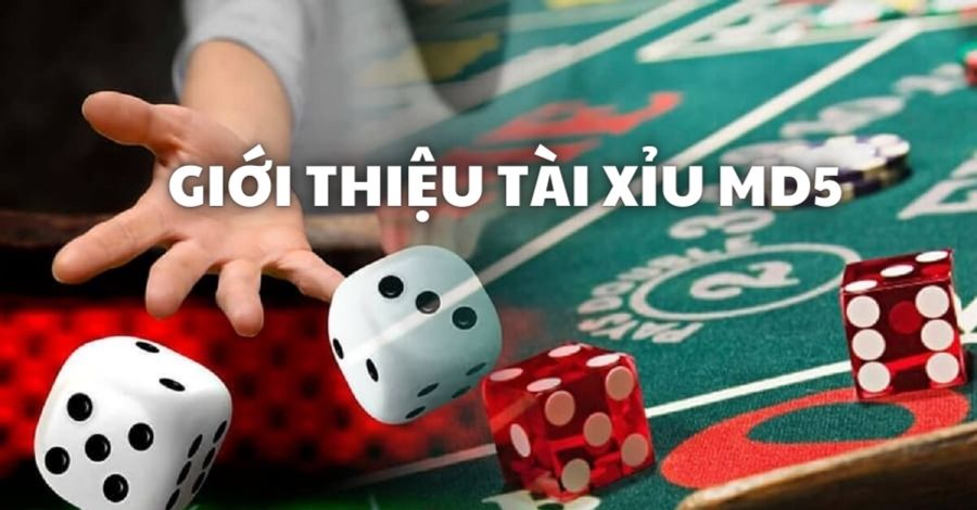 Giới thiệu về trò chơi Tài xỉu MD5 là gì?